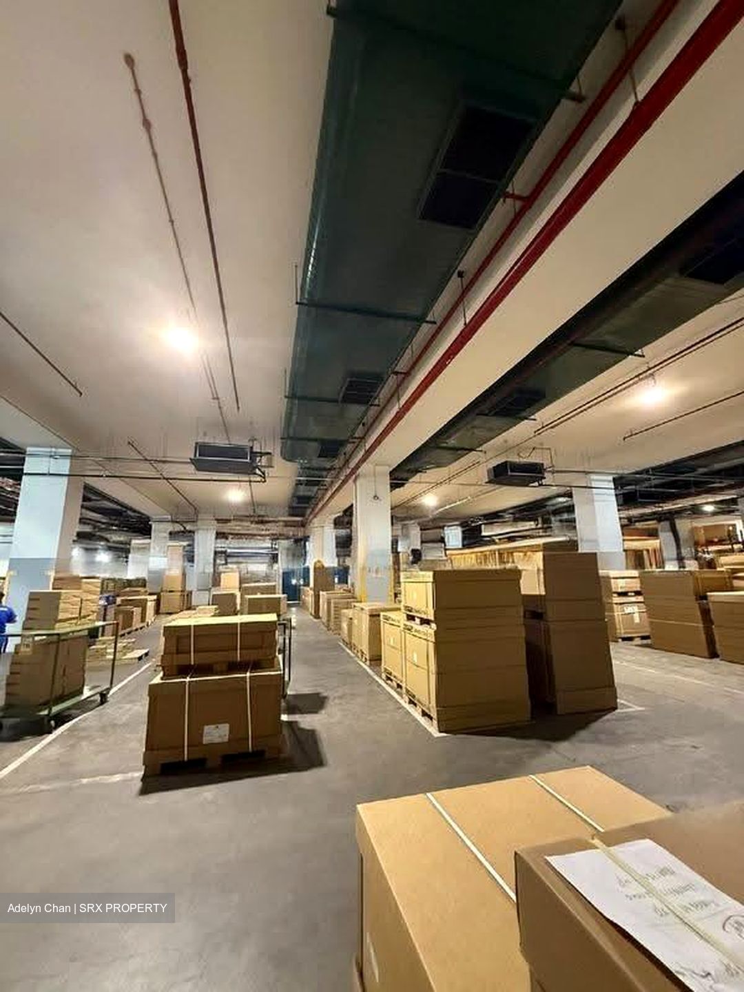 Pandan Crescent (D5), Warehouse #635434051